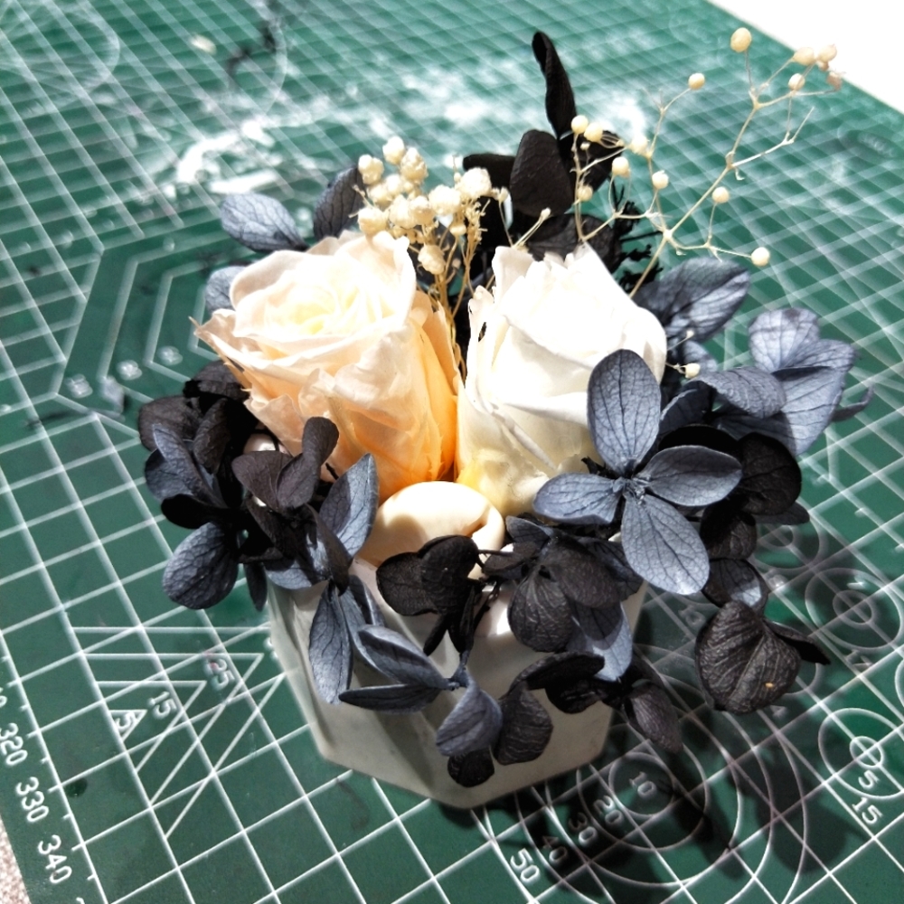 Meet your Posher, Lydia